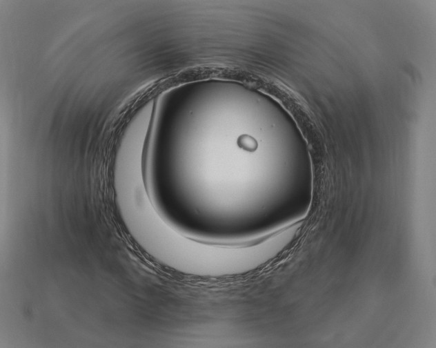 X0000115240872200911131702