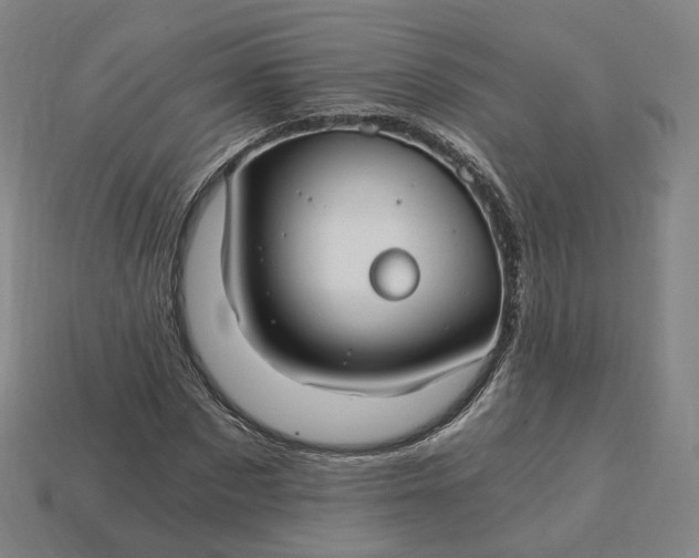 X0000115240873200911131702