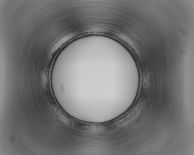 X0000115240874200911131702