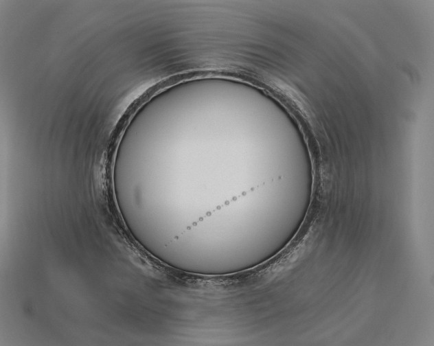 X0000115240875200911131702