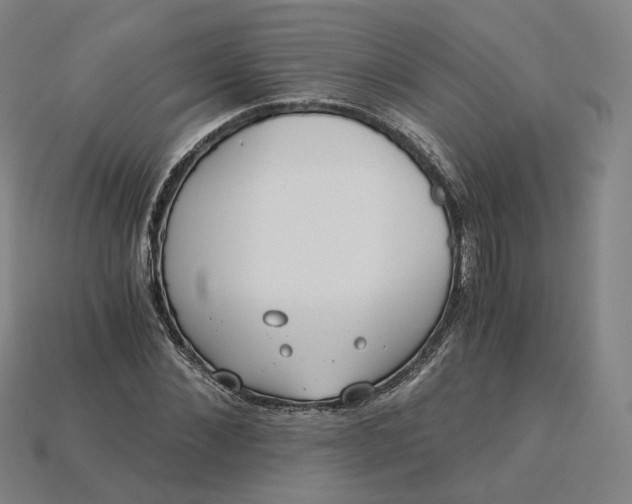 X0000115240876200911131702