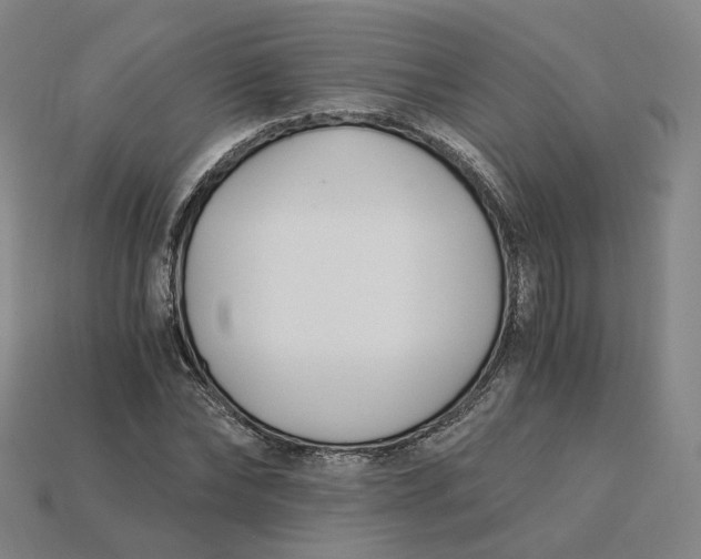 X0000115240878200911131702
