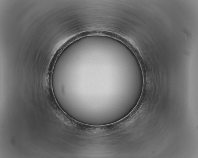 X0000115240879200911131702