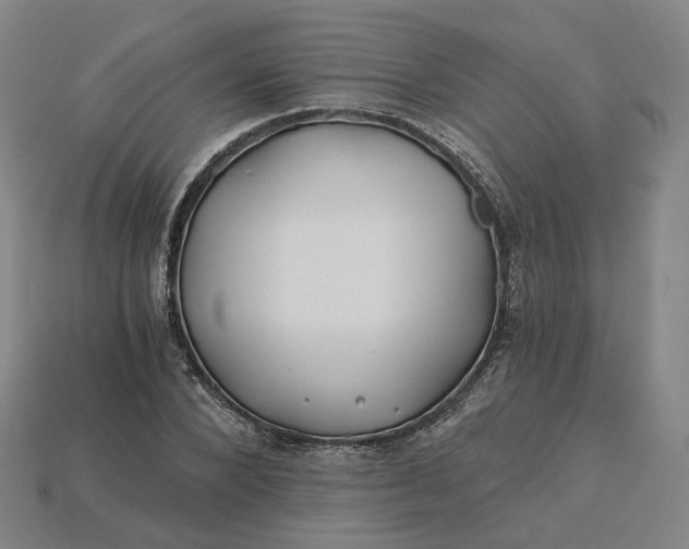 X0000115240880200911131702
