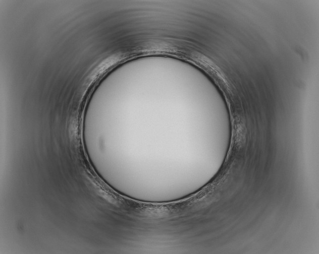X0000115240882200911131702