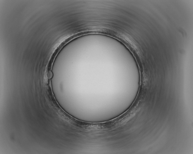 X0000115240883200911131702