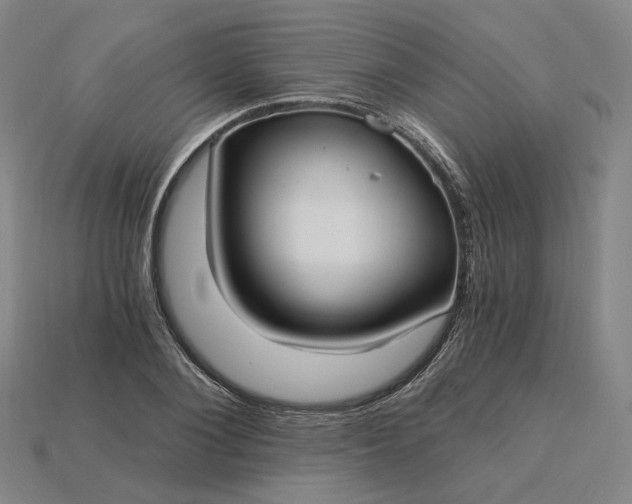 X0000115240884200911131702