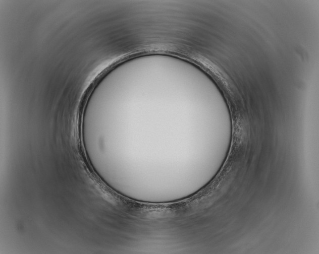 X0000115240886200911131702