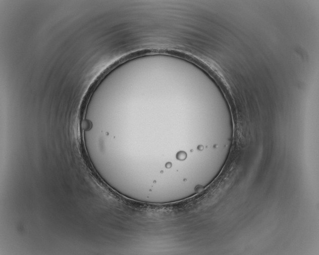 X0000115240887200911131702