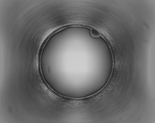 X0000115240888200911131702