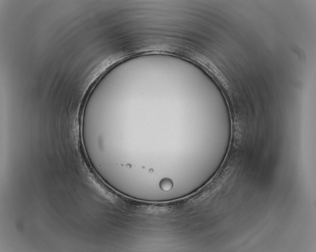 X0000115240890200911131702
