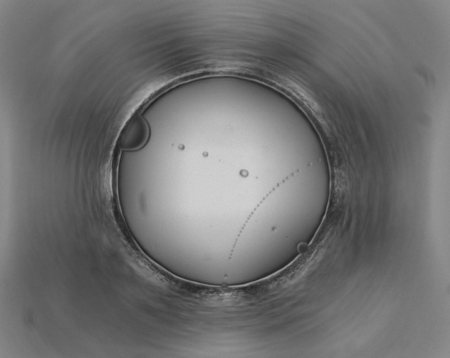 X0000115240891200911131702
