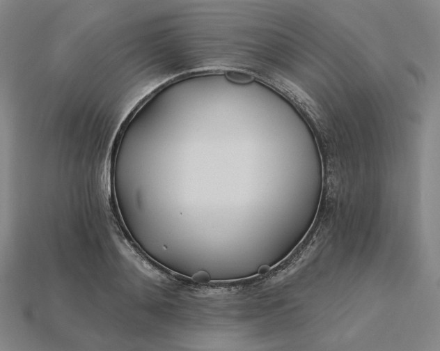 X0000115240892200911131702