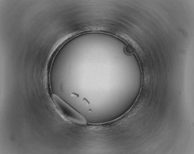 X0000115240894200911131702
