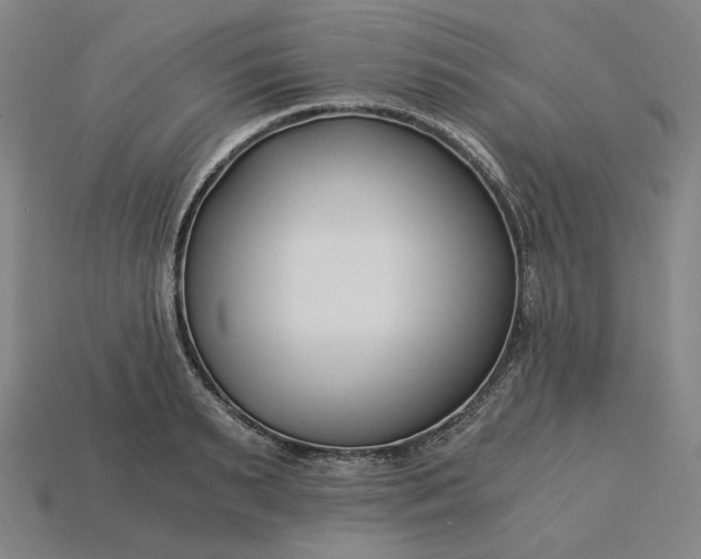 X0000115240895200911131702