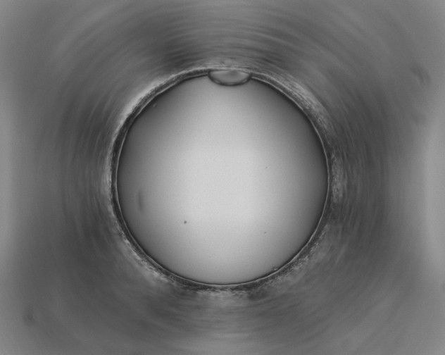 X0000115240896200911131702