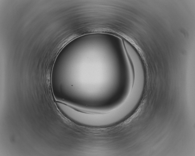 X0000115240897200911131702