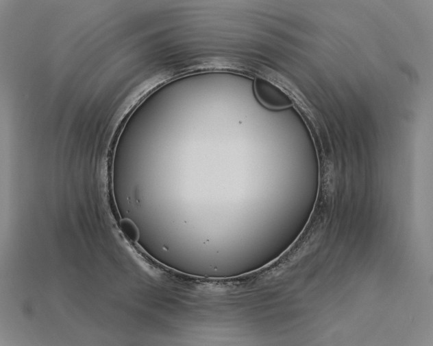 X0000115240898200911131702