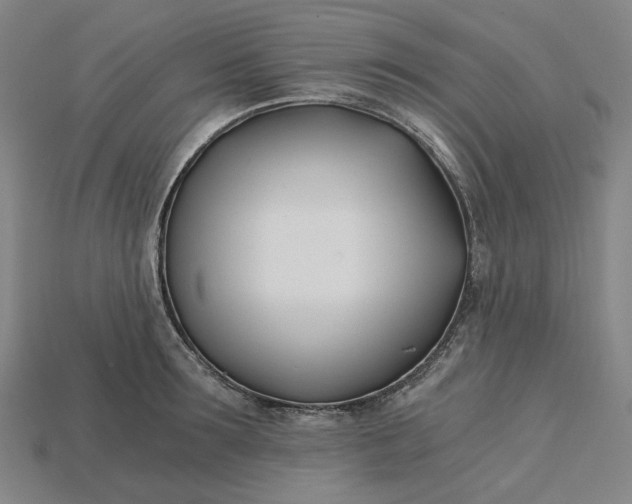 X0000115240899200911131702