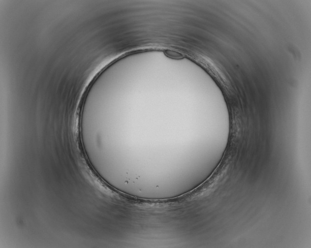 X0000115240900200911131702