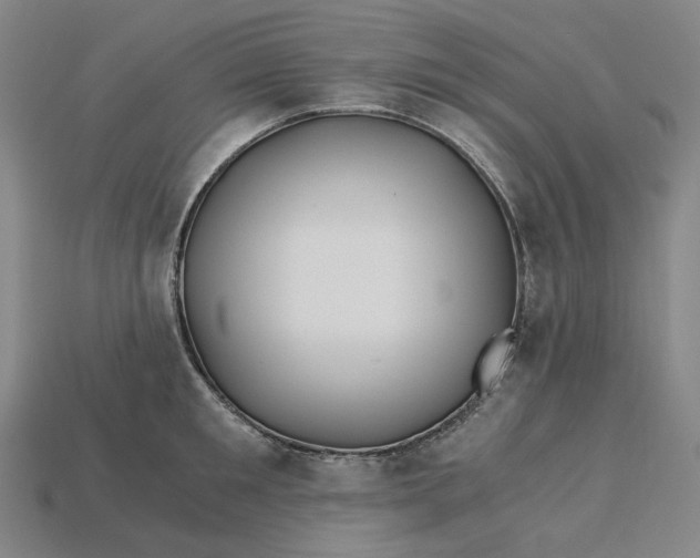 X0000115240901200911131702
