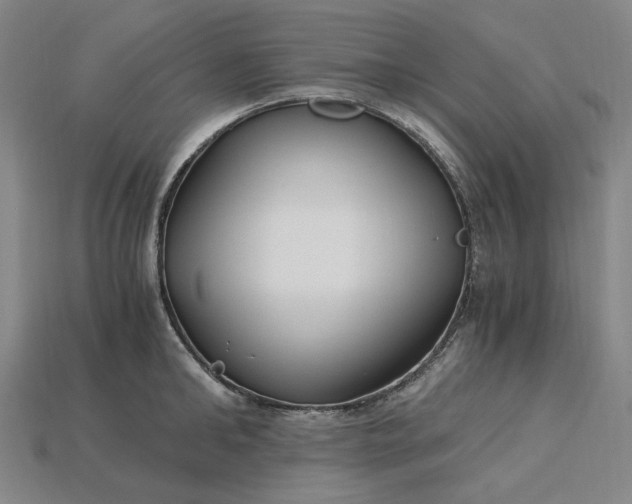 X0000115240902200911131702
