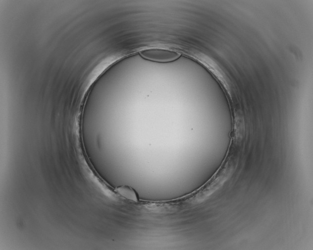 X0000115240906200911131702