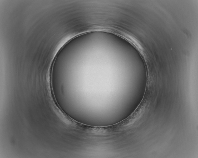 X0000115240907200911131702