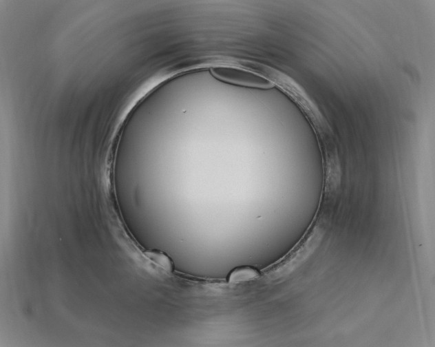 X0000115240908200911131702