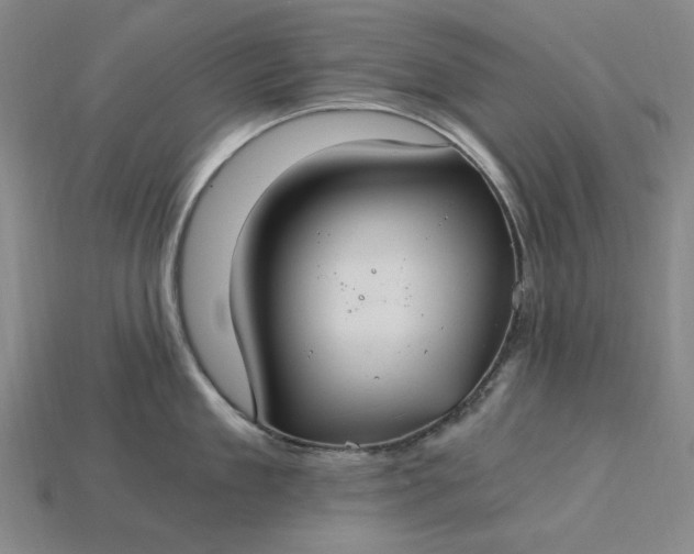X0000115240909200911131702