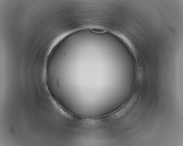 X0000115240910200911131702