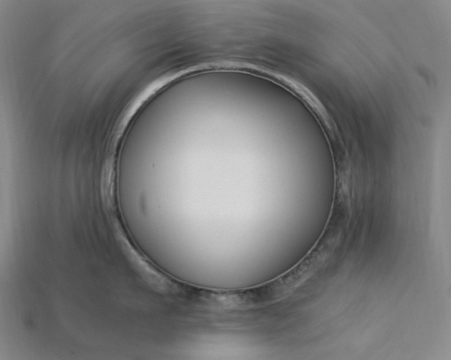 X0000115240911200911131702