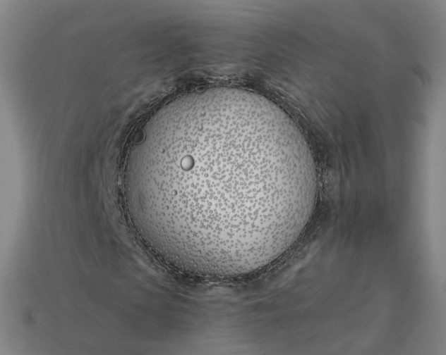X0000115240913200911131701