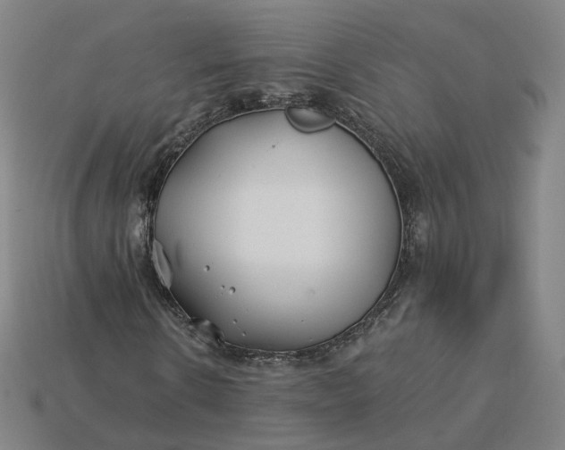 X0000115240914200911131701