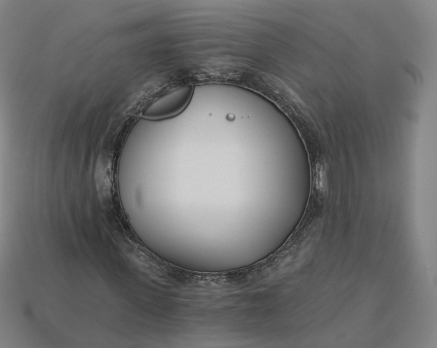 X0000115240915200911131701
