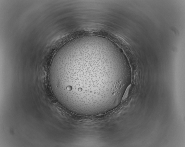 X0000115240917200911131701