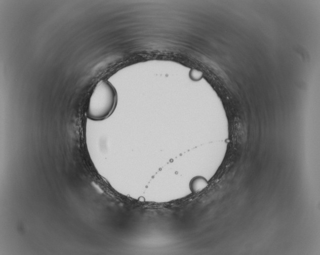 X0000115240918200911131701