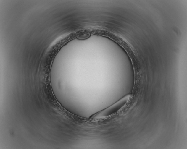 X0000115240919200911131701