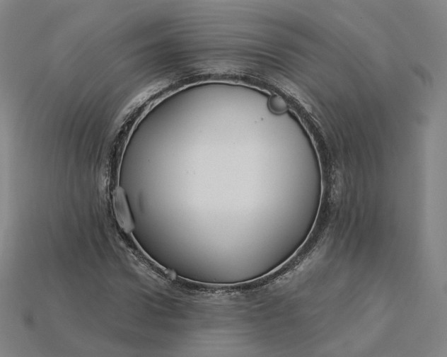 X0000115240922200911131701