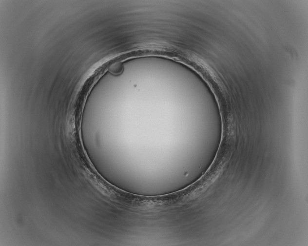 X0000115240923200911131701