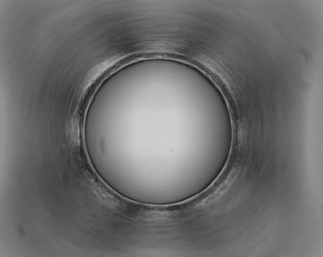 X0000115240925200911131701