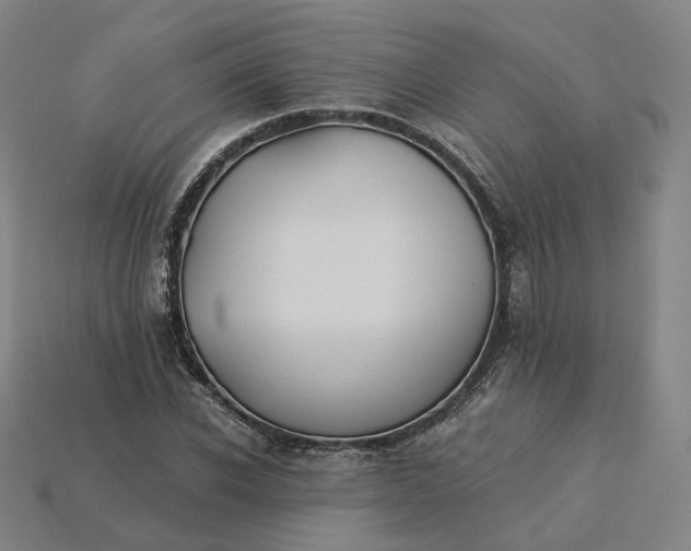 X0000115240926200911131701