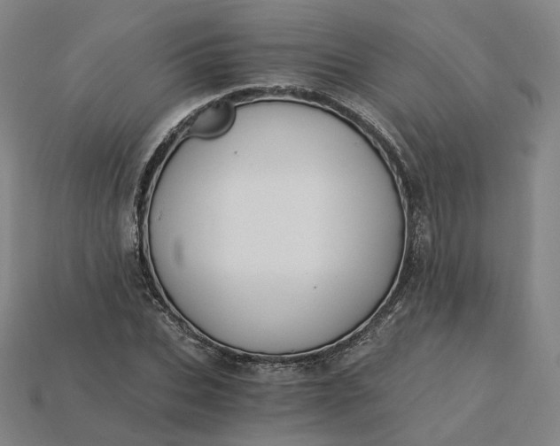 X0000115240927200911131701