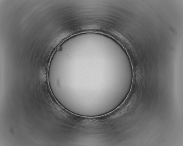 X0000115240929200911131701
