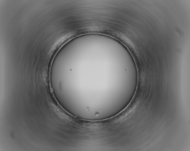 X0000115240930200911131701