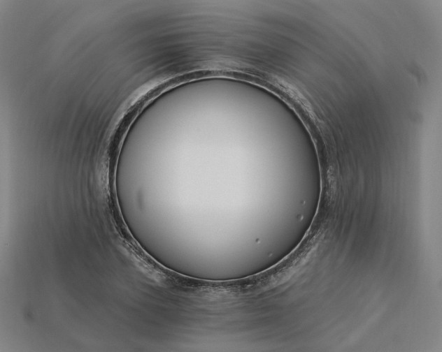 X0000115240931200911131701