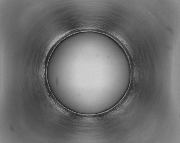 X0000115240933200911131701