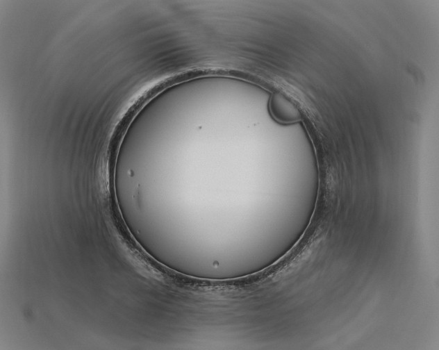 X0000115240934200911131701