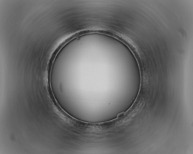 X0000115240935200911131701
