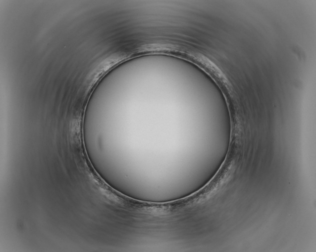 X0000115240937200911131701